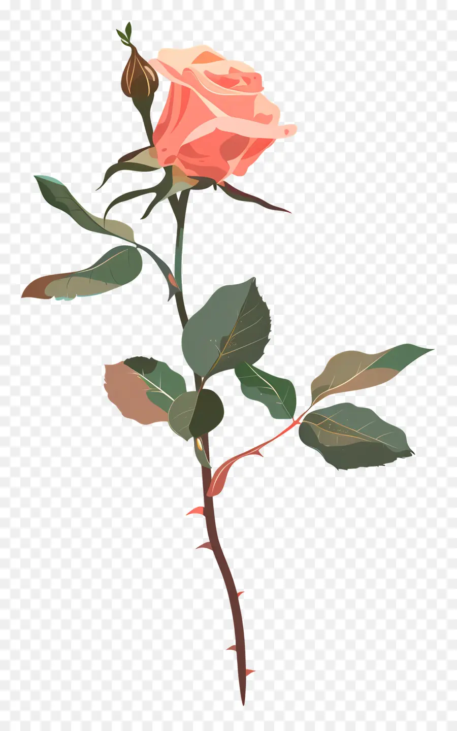 Tige De Rose，Rose Rose PNG