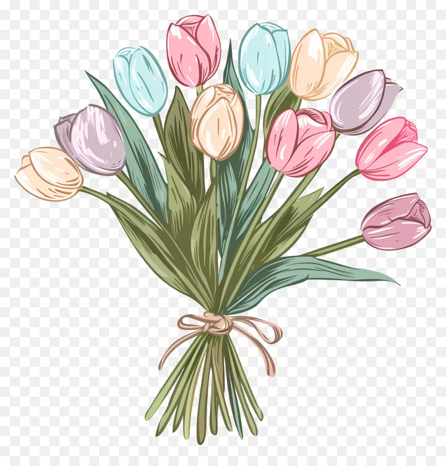 Bouquet De Tulipes，Les Tulipes PNG