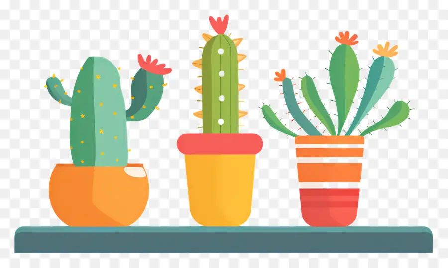 Cactus En Pot，Cactus PNG