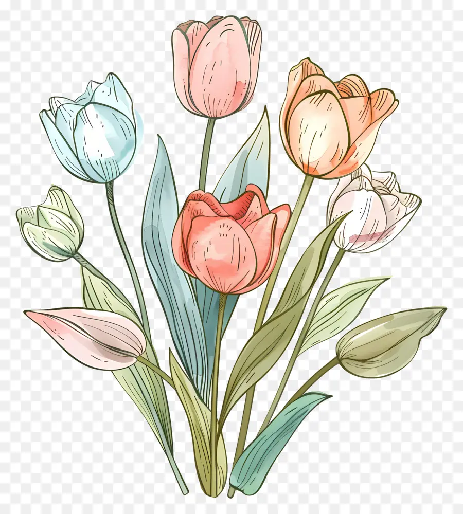 Bouquet De Tulipes，Les Tulipes PNG