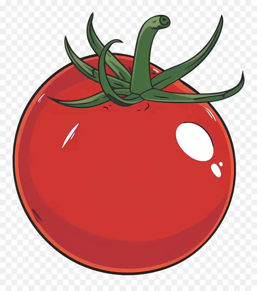 Tomate，Rouge PNG