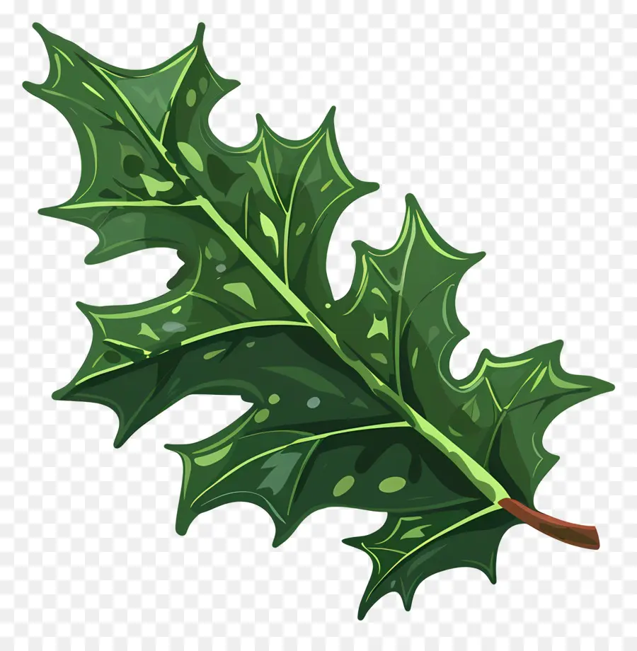 Feuille De Houx，Arbre à Feuilles Caduques PNG