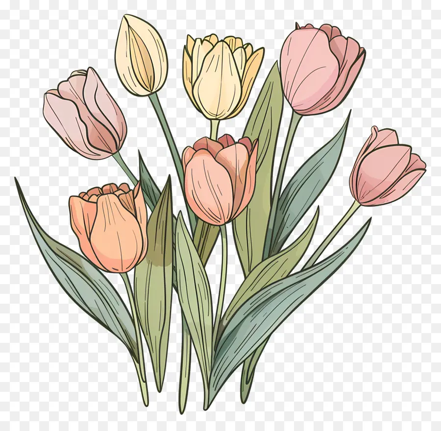 Bouquet De Tulipes，Les Tulipes PNG