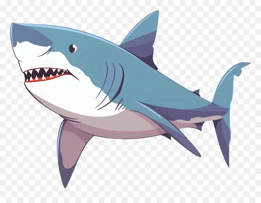 Dessin Animé Requin，Requin PNG