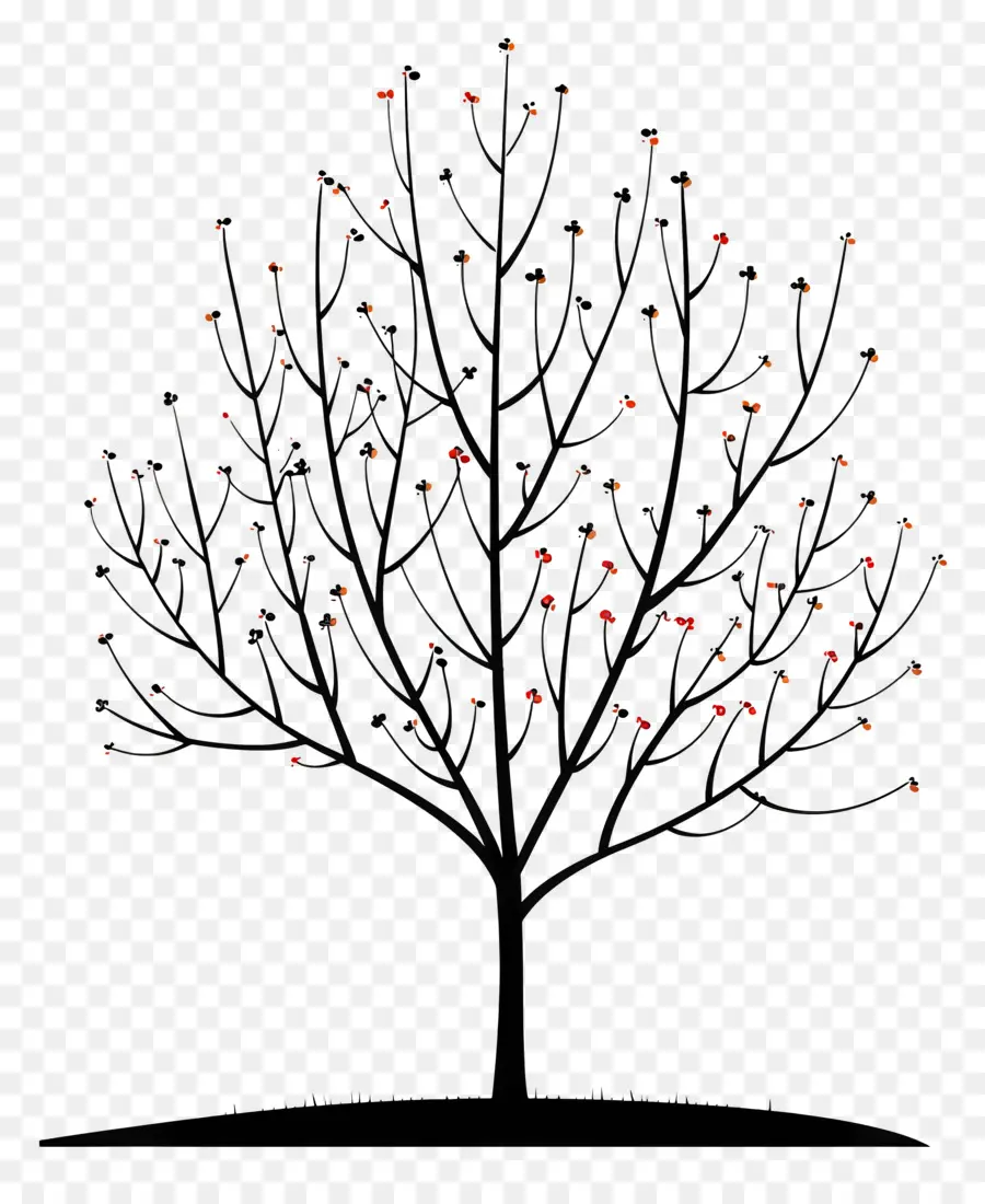 Arbre Clipart，Arbre à Feuilles Caduques PNG