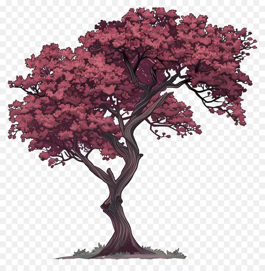 Arbre Clipart，Fleur De Cerisier PNG