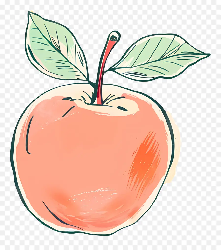 Doodle Pomme，Handdrawn PNG