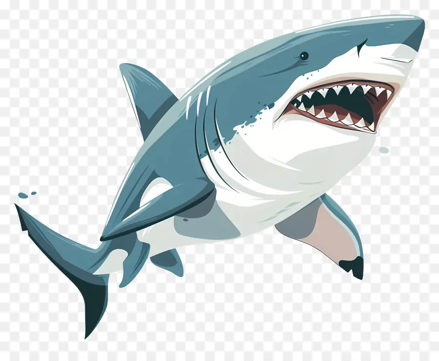 Dessin Animé Requin，Requin PNG