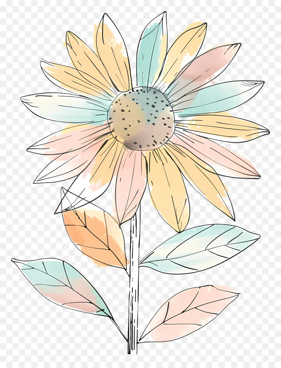 Griffonnage Tournesol，Fleur PNG