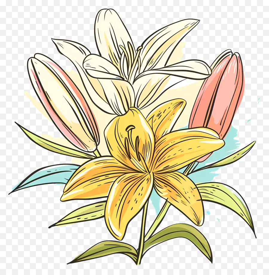 Bouquet De Lys，Lys PNG