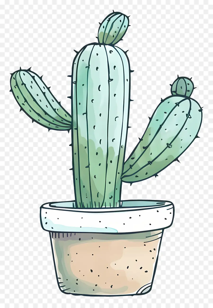 Vert Cactus，Cactus PNG