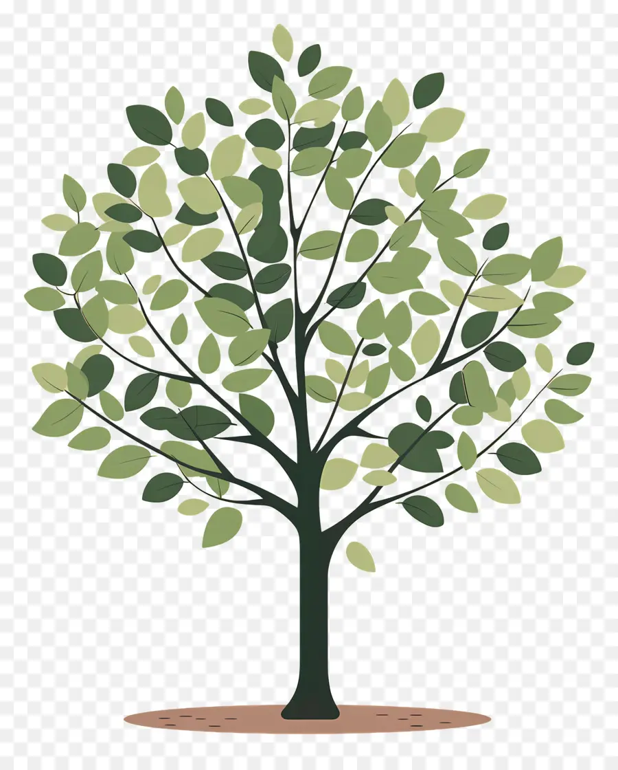 Arbre Clipart，Arbre PNG