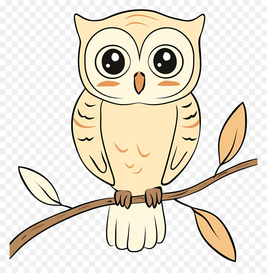 Cartoon Hibou，Chouette PNG