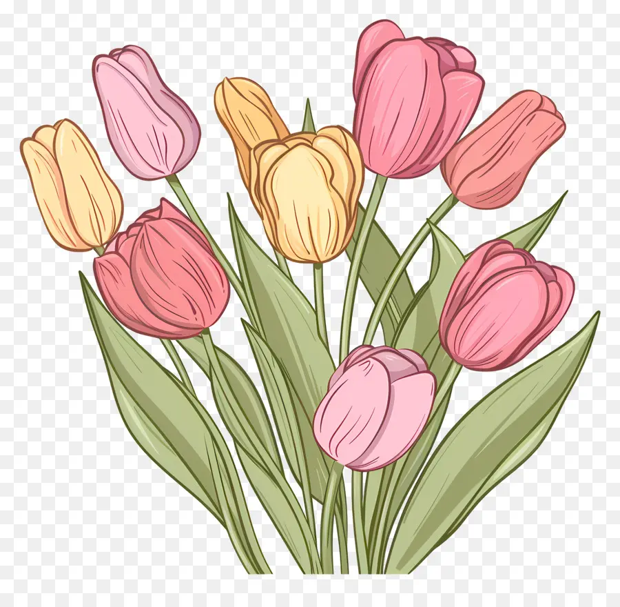 Bouquet De Tulipes，Tulipes Roses PNG