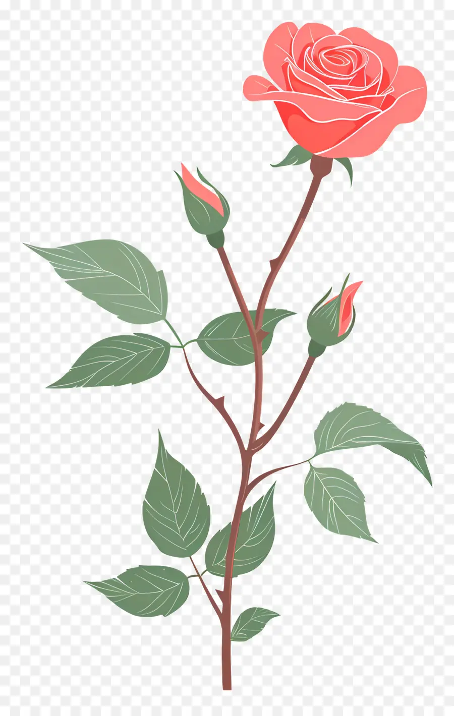 Tige De Rose，Rose Dessin PNG