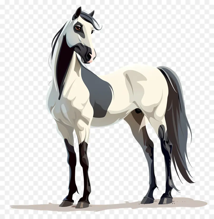 Dessin Animé Cheval，Cheval PNG