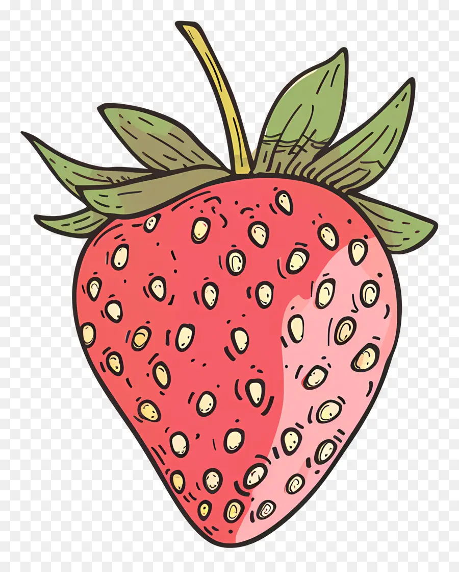 Doodle Aux Fraises，Fraise PNG