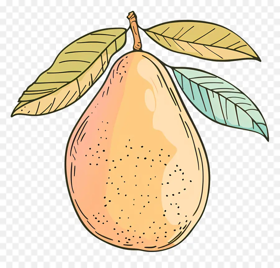 Doodle Mangue，Pêche PNG