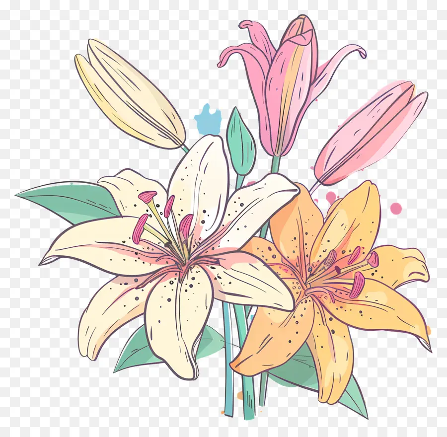 Bouquet De Lys，Fleurs De Lys PNG