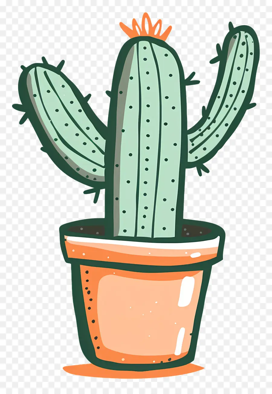 Vert Cactus，Cactus PNG