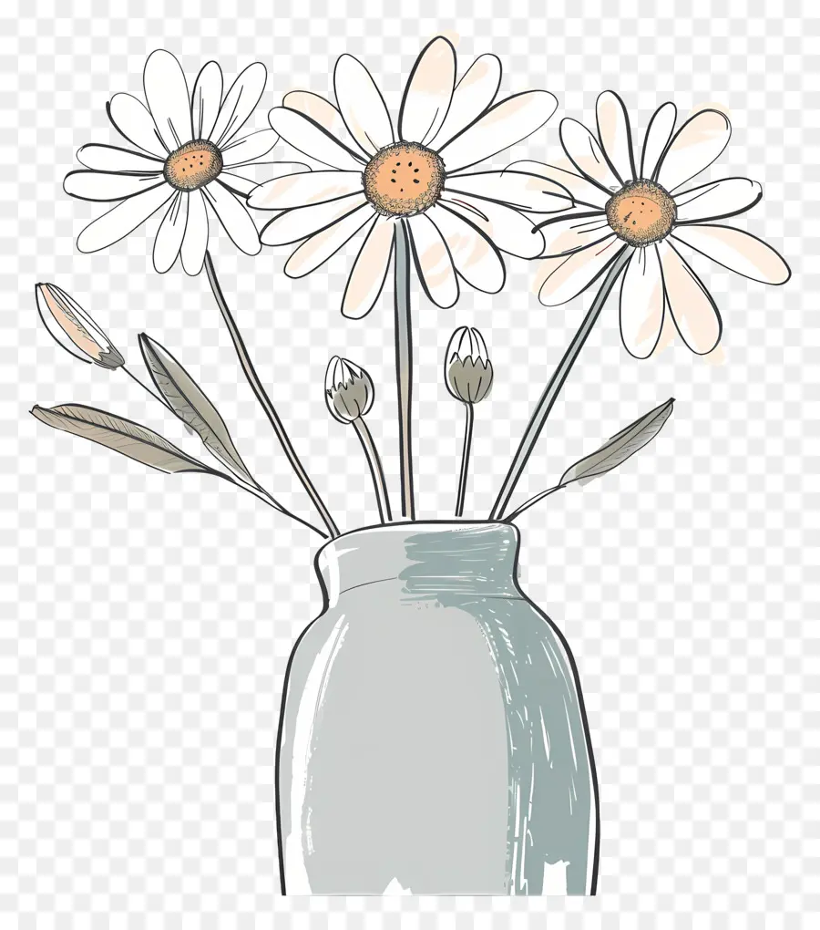 Bouquet Marguerite，Marguerites PNG