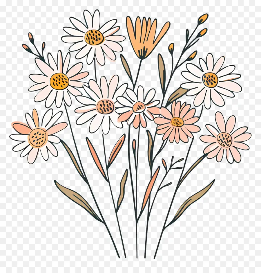 Bouquet Marguerite，Marguerites PNG