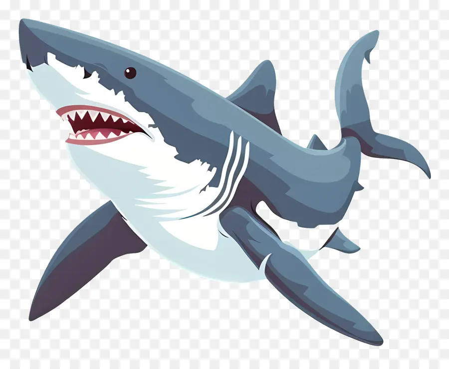 Dessin Animé Requin，Requin PNG