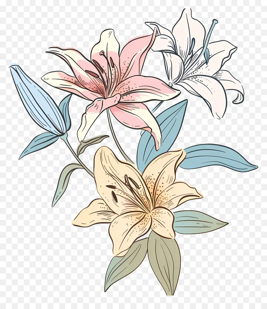 Bouquet De Lys，Lys PNG