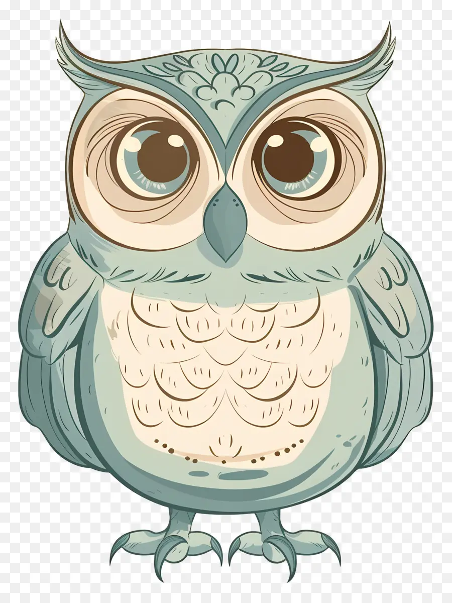 Cartoon Hibou，Chouette PNG