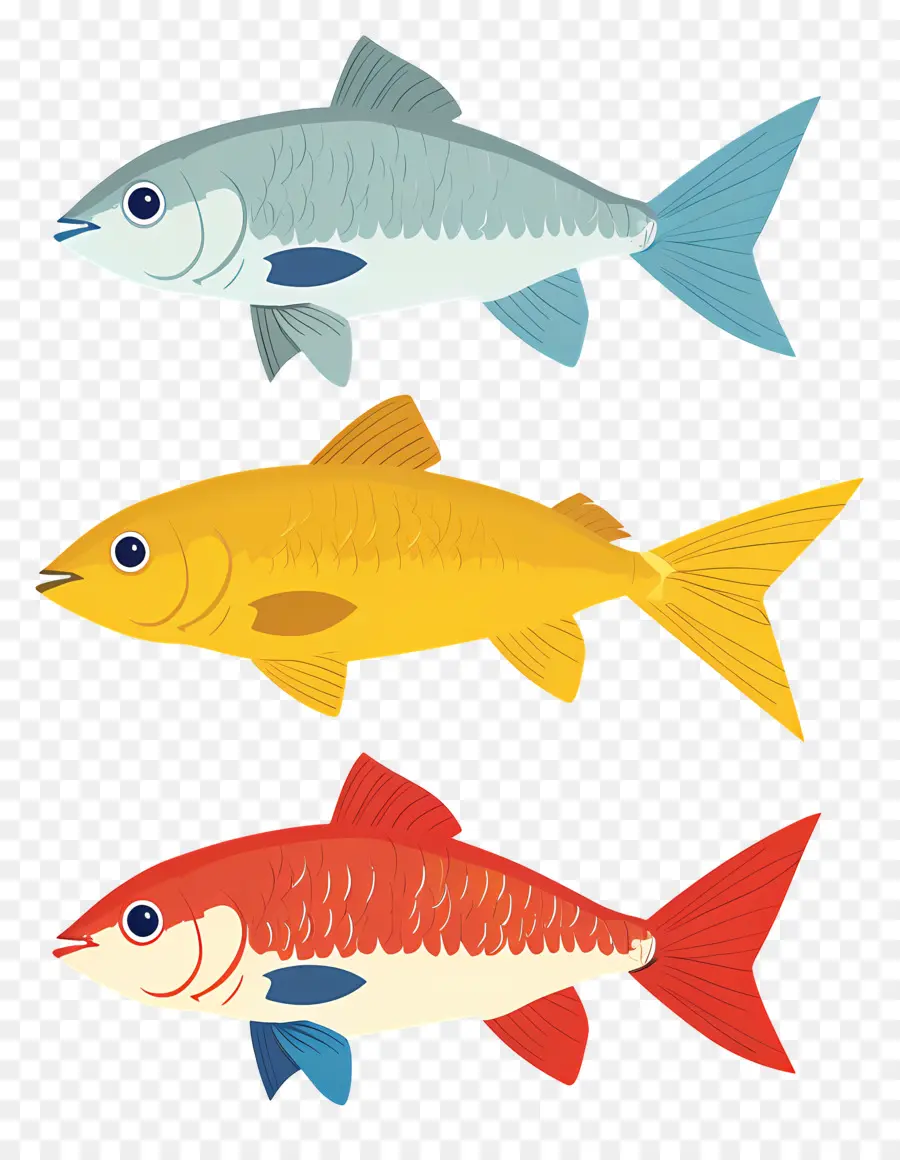 Les Poissons Clipart，Les Poissons PNG