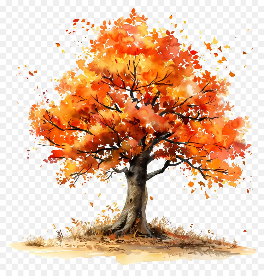 Automne, Arbre，Feuillage D'automne PNG