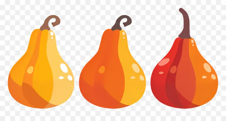 Les Gourdes，Citrouilles PNG