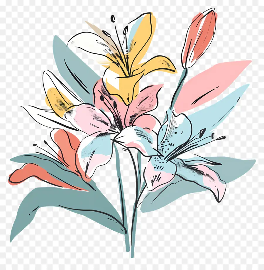 Bouquet De Lys，Fleurs Colorées PNG