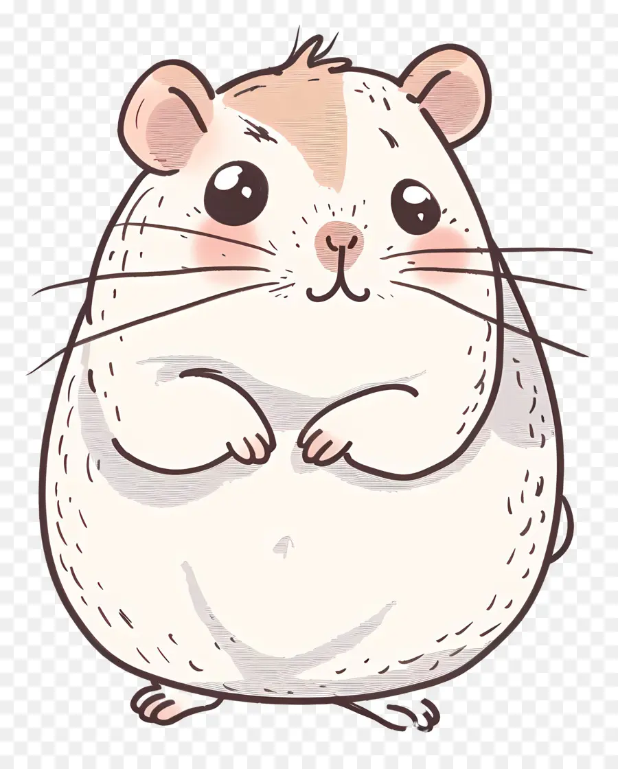 Hamster，Mignon PNG