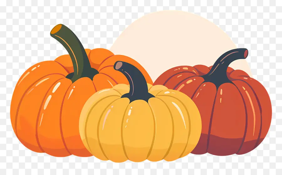 Pumpkins De Thanksgiving，Citrouilles PNG