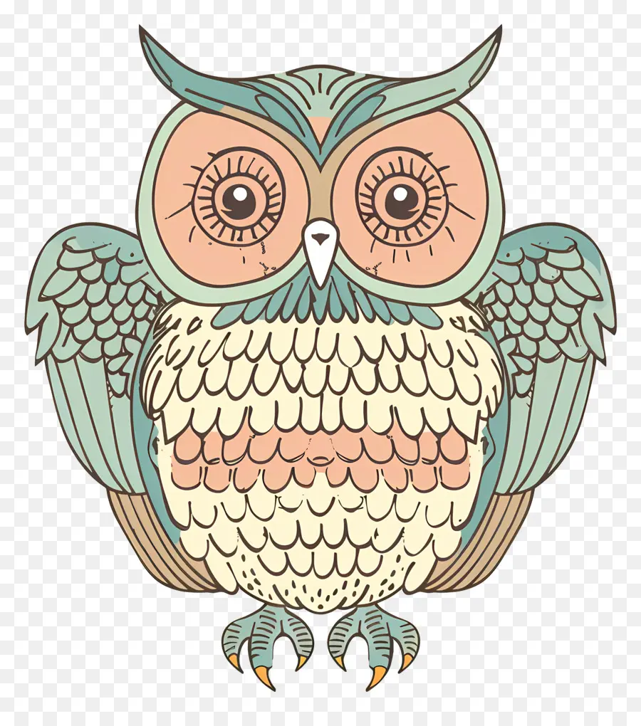 Cartoon Hibou，Chouette PNG