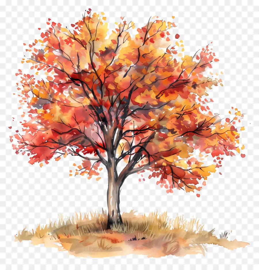 Automne, Arbre，Peinture à L'aquarelle PNG