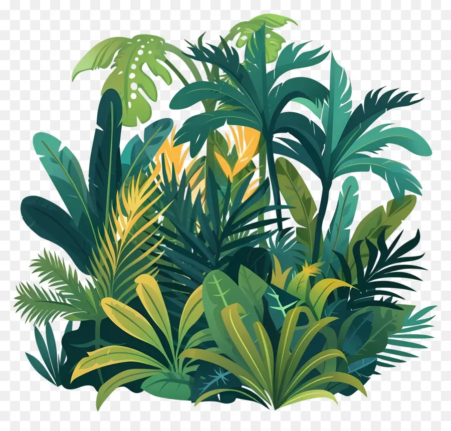 Jungle，Dense PNG