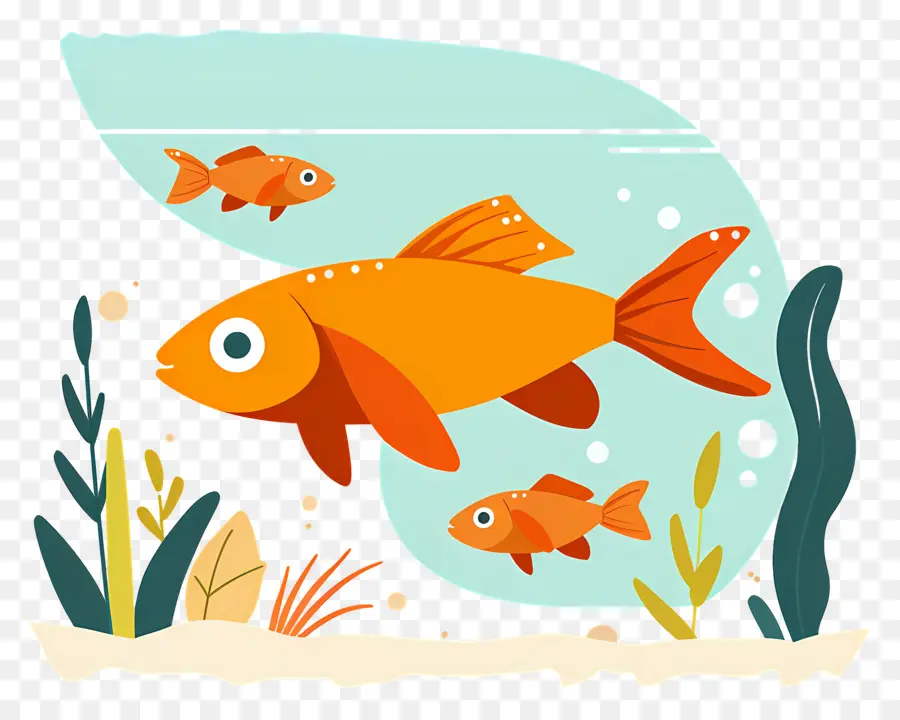 Les Poissons，Orange Poisson PNG