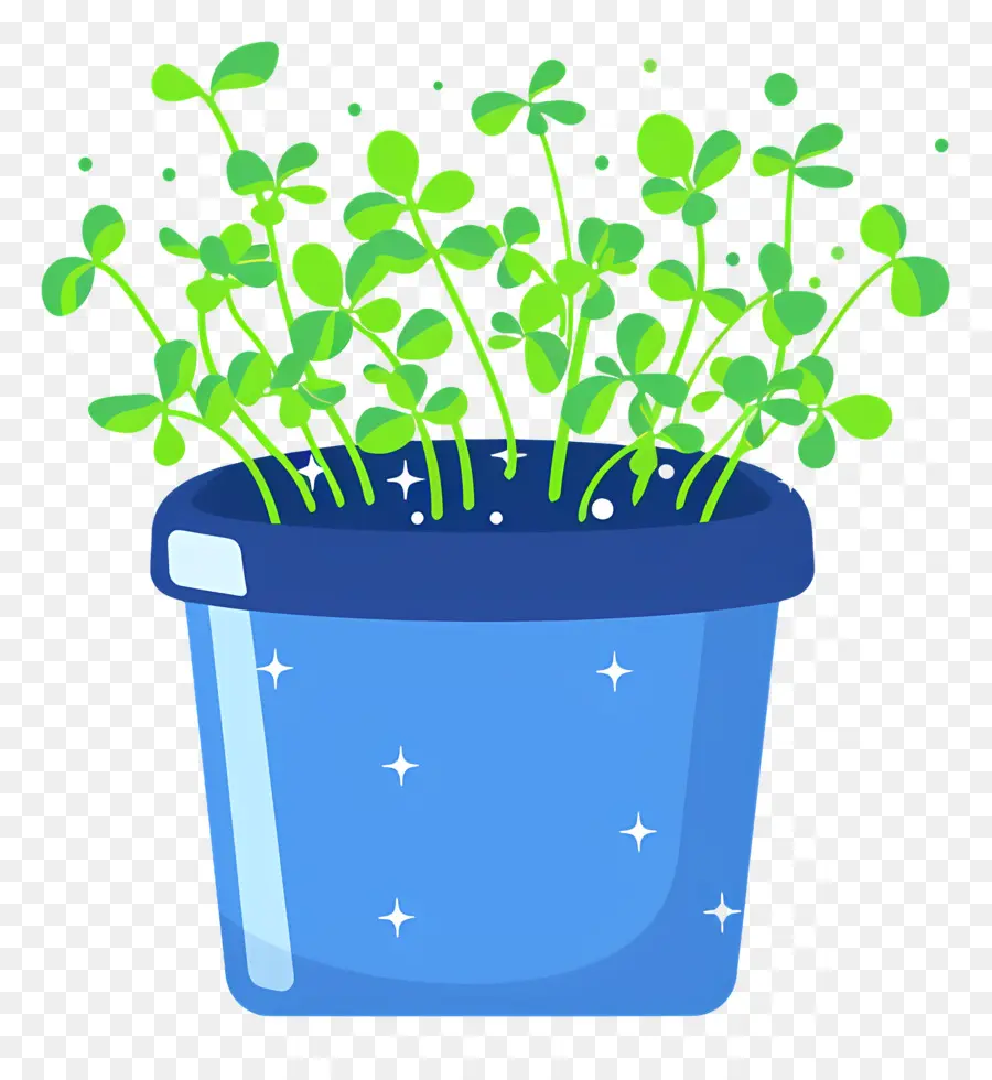 Pot De Micropousses，Plante En Pot PNG