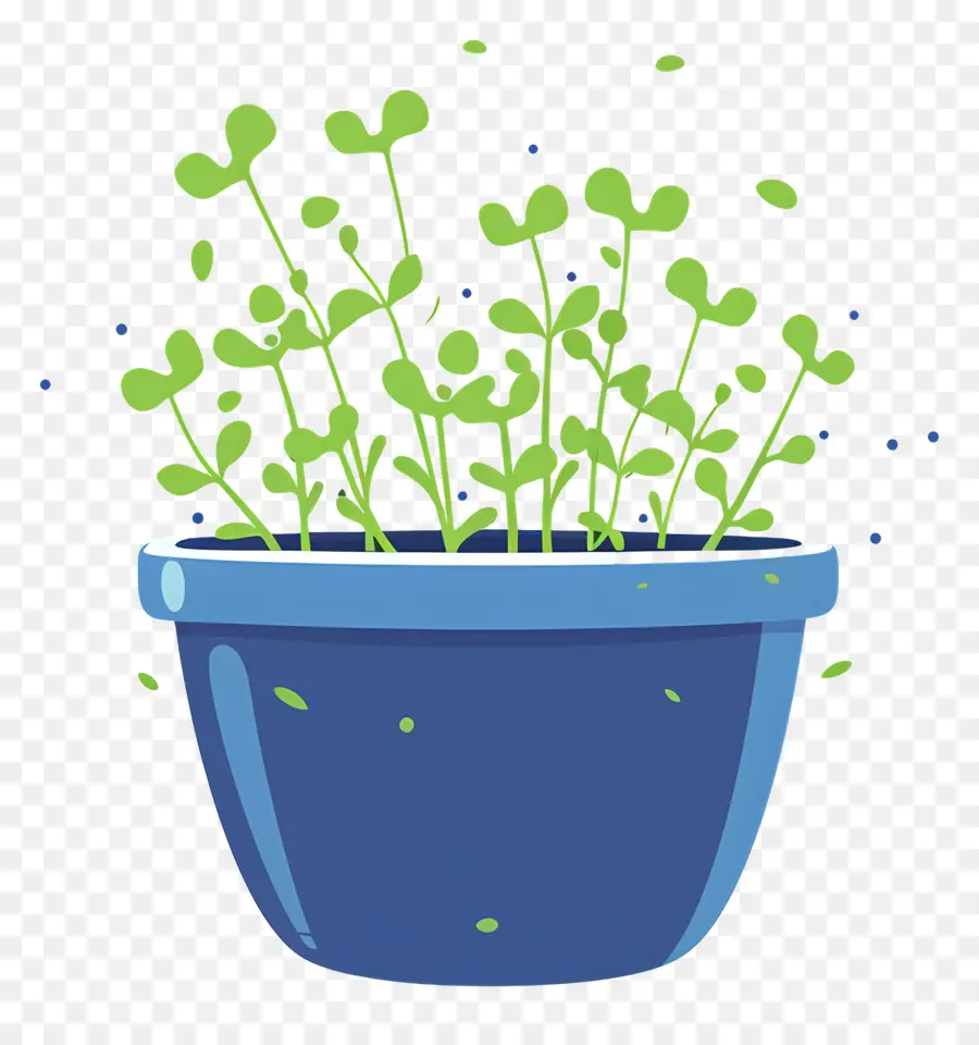 Pot De Micropousses，Plante En Pot PNG