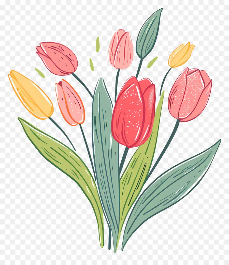 Bouquet De Tulipes，Tulipes Roses PNG