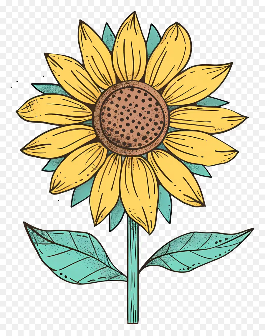 Griffonnage Tournesol，Tournesol PNG