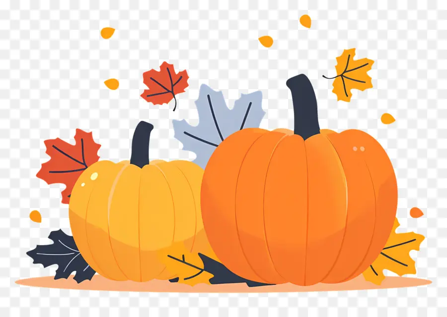 Pumpkins De Thanksgiving，Citrouilles PNG