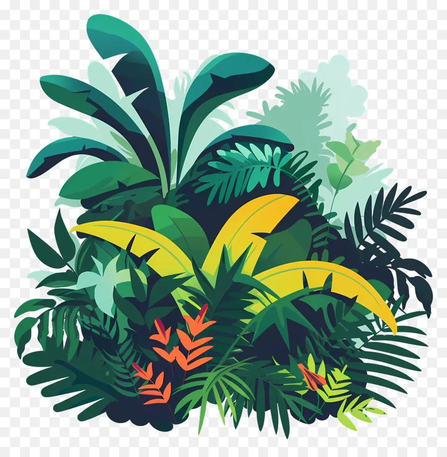 Jungle，Plantes Tropicales PNG