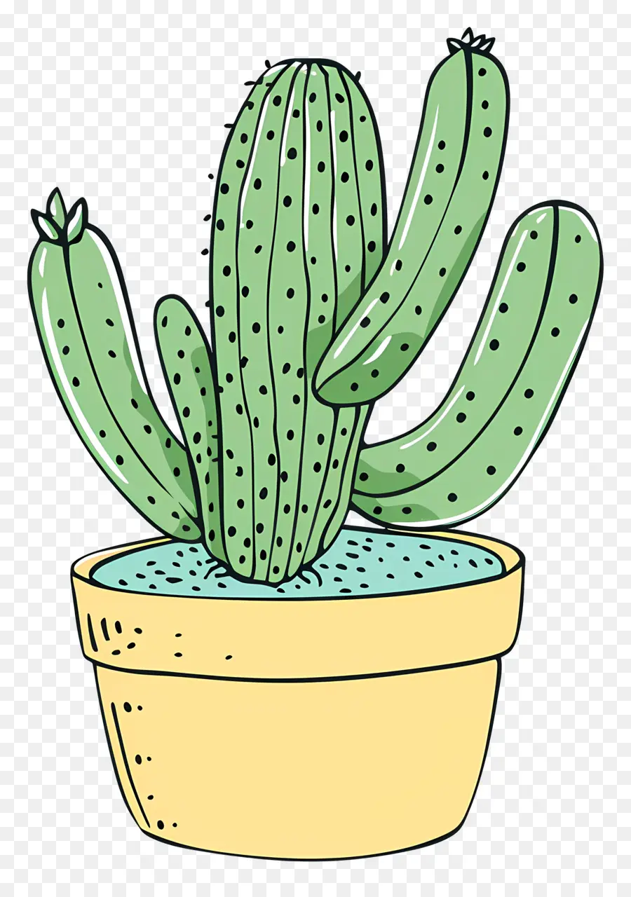 Vert Cactus，Cactus PNG