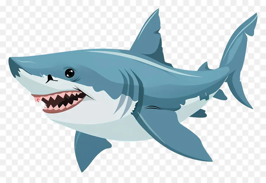 Requin De Dessin Animé，Requin Bleu PNG