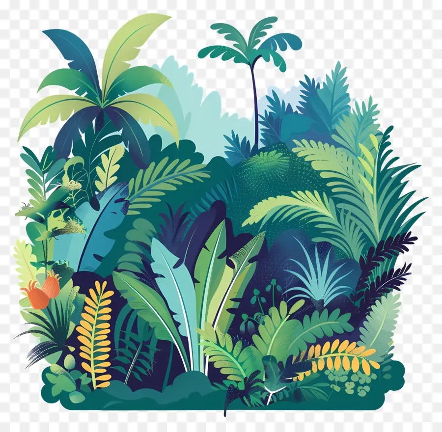 Jungle，Plantes Tropicales PNG