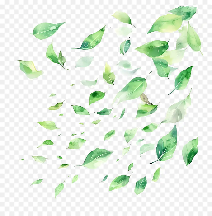 Feuilles Vertes，De Feuilles Volantes PNG