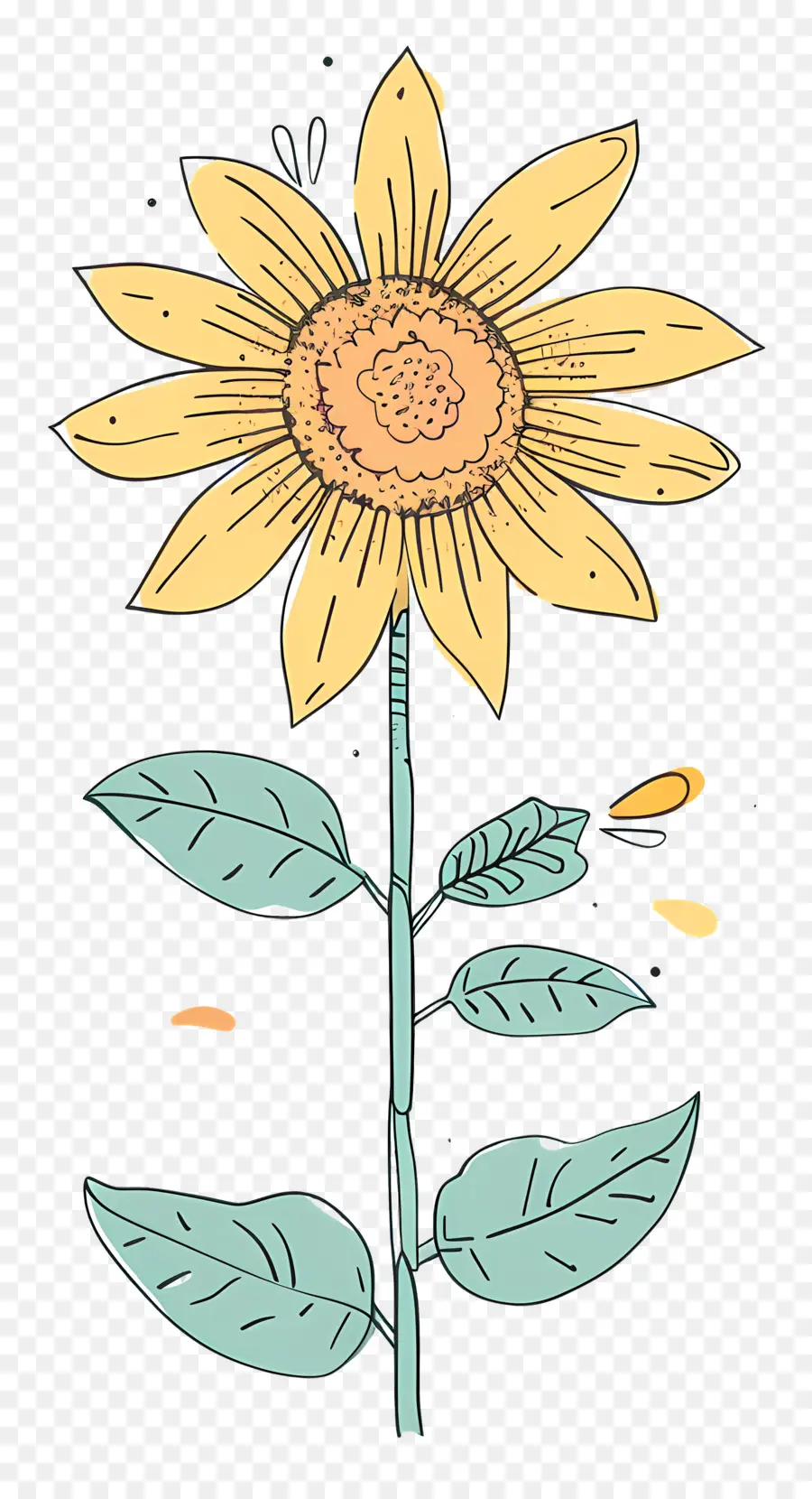 Griffonnage Tournesol，Tournesol PNG